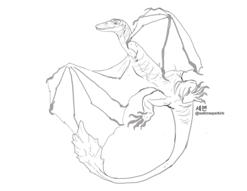 This wyvern design is based on komodo dragons &hellip; not the best anatomy but I tried my best.