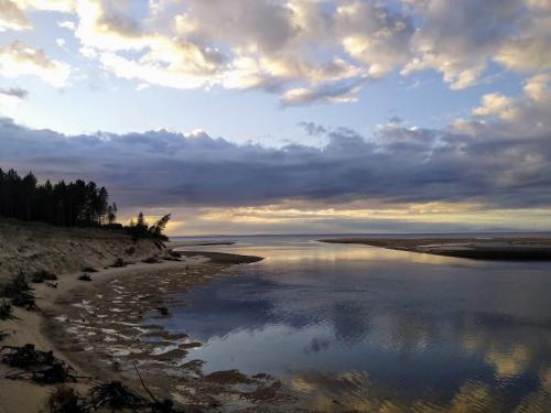 oneshotolive:  Dusk at Culbin Forest overlooking Findhorn Bay in Moray, Scotland (OC)[4096x3072] 📷: CazzaMcSpazza 