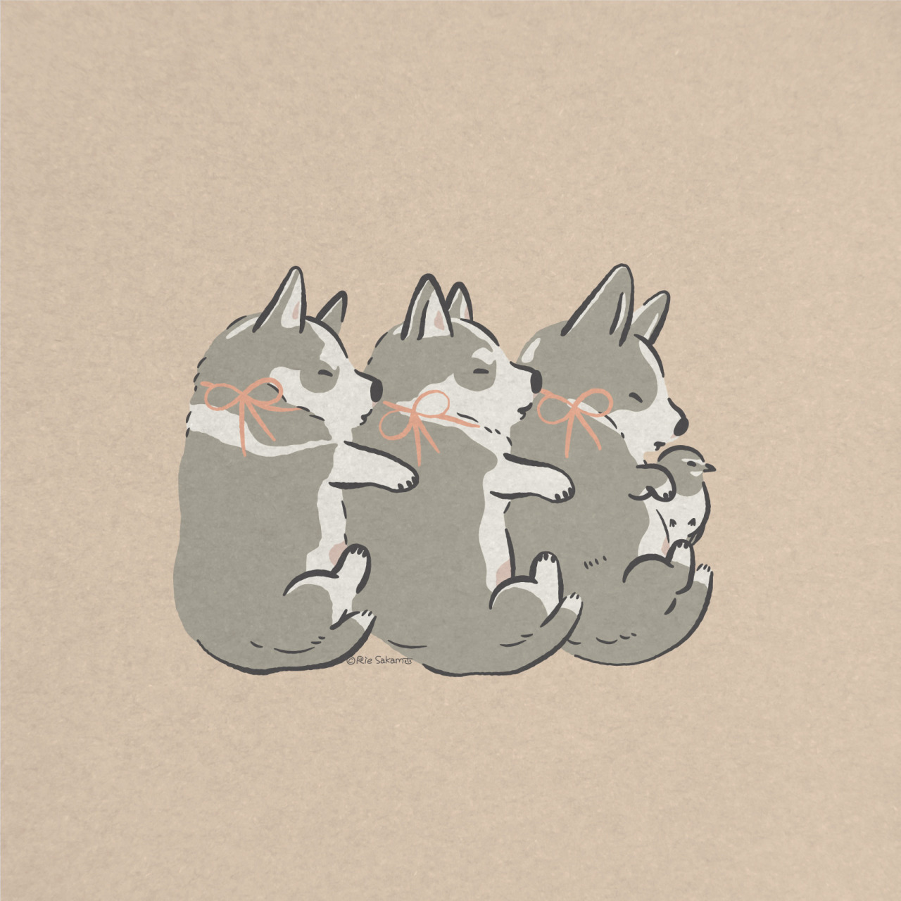 Okoge The Corgi みんなでくっついて寝るうちのハスキーとコーギー Okoge The Corgi みんなでくっついて寝るうちのハスキーとコーギー