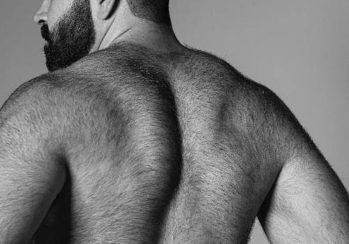 hairybacker: Hairy Back 74