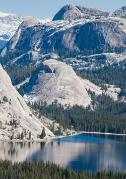 radivs:  View from My Favorite Picnic Perch by Frank Kovalchek