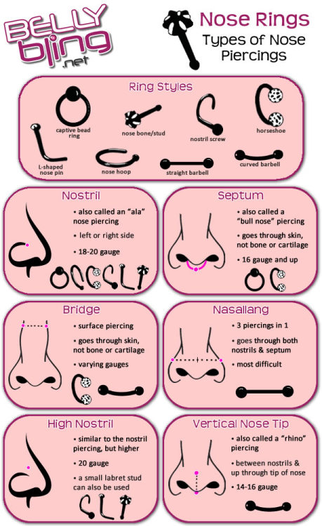 rinface: Facial and Ear piercing Diagrams Just incase anyone out there was looking for them.