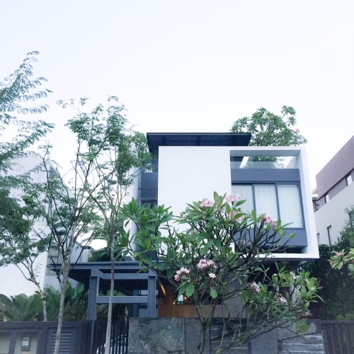 avomilked:encountered aesthetically pleasing houses & cute plahnts on a friday afternoon