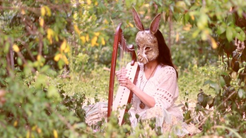 The Menagerie started filming a new music video yesterday!  Here are some stills.  The forest was lo