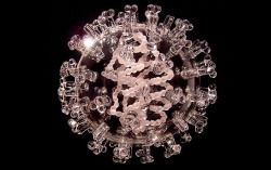 sixpenceee:  Luke Jerram makes exact glass replicas of harmful viruses. Each replica is 1,000,000 times the size of the actual virus. From top to bottom we have swine flu, HIV, T4 bacteriophage, malaria, small pox, SARS,HPV &amp; E. Coli.  