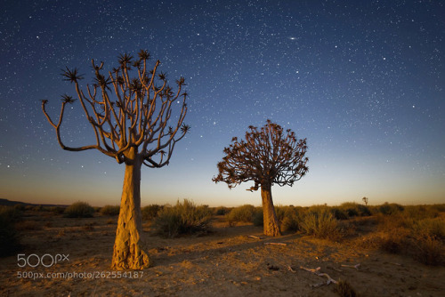Namibian Mood by carstenmeyerdierks