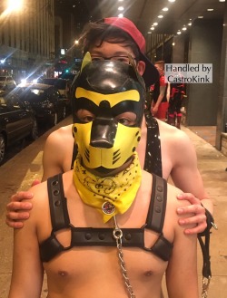 puptangle:  castrokinky:  Aftercare. Taking @puptangle and another boy we played with for a walk.   😄😄😄