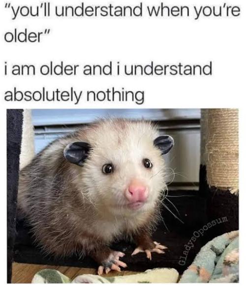 Hmmmmmmmm