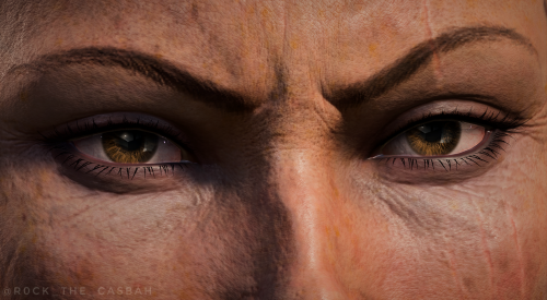 A Short Series With Companions' Eyes