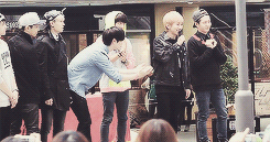 juresse:  a very adorable btob; 