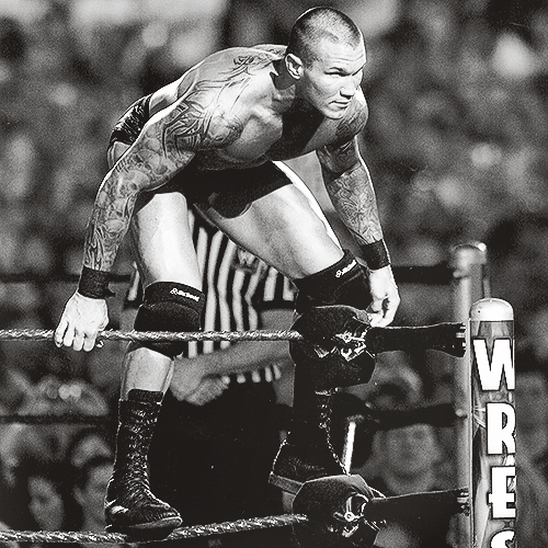 foreverwwelover:  This man is sexy as fuck, not just sexy, but an amazing wrestler.