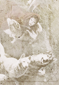 georginakincaid:  LITTLE RED RIDING HOOD AS THE MOTHER OF WEREWOLVES  Everyone thinks that after the hunter killed the wolf, Little Red’s life went back to normal. Except it didn’t. A lot got lost in translation, including the fact that there was