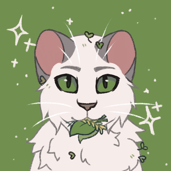 Made this kitty on Picrew, any ideas on a name for her? She's from WindClan  : r/WarriorCats