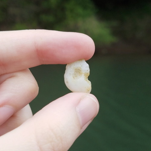 muddyandfoxgloved:Lately I’ve been spending a lot of time picking out stones by a nearby creek. Here