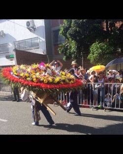 #feriadeflores2017 #desfiledelossilleteros #medellin