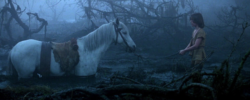 jellymonstergirl:The NeverEnding Story (Wolfgang Petersen | 1984)