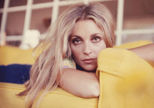 XXX lovesharontate:Sharon Tate at Summitridge photo