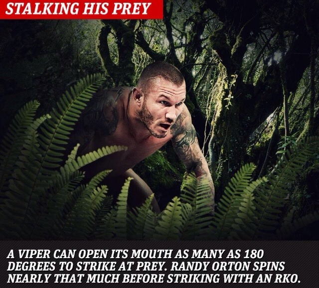 allonsyambrose:  Orton just looks like some creeper, hiding in a bush naked…