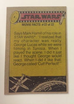 iandsharman:  spidyrman:  I’M FLIPPING THROUGH THIS BOOK OF OLD STAR WARS TRADING CARDS AND.  MARK HAMILL LITERALLY JUST ADMITTED THAT LUKE IS GEORGE LUCAS’ SELF INSERT. ITS CANON.   “my character was really george”   WHERE IS YOUR GOD NOW, “REY