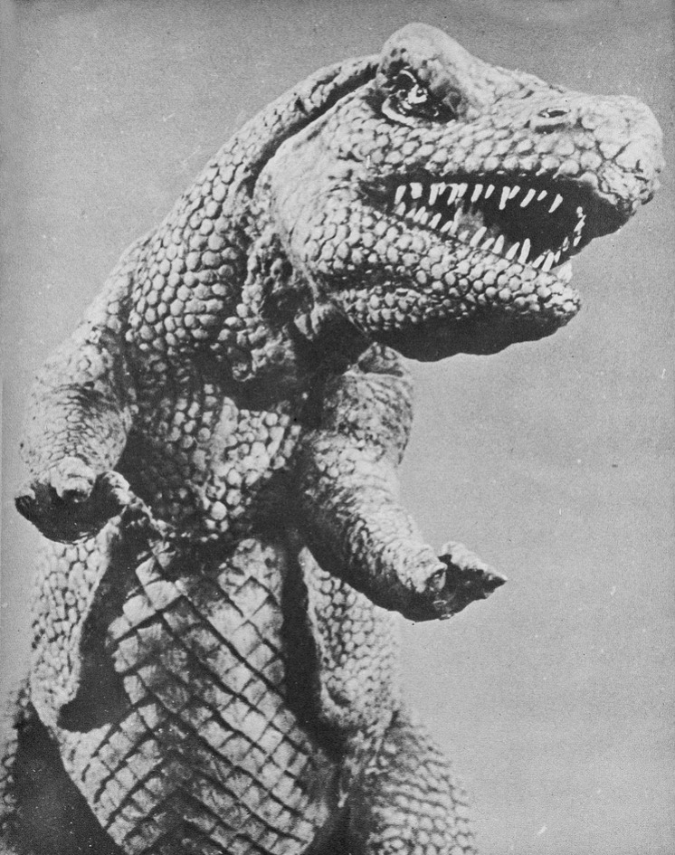 ronaldcmerchant:  the ANIMAL WORLD (1956) 