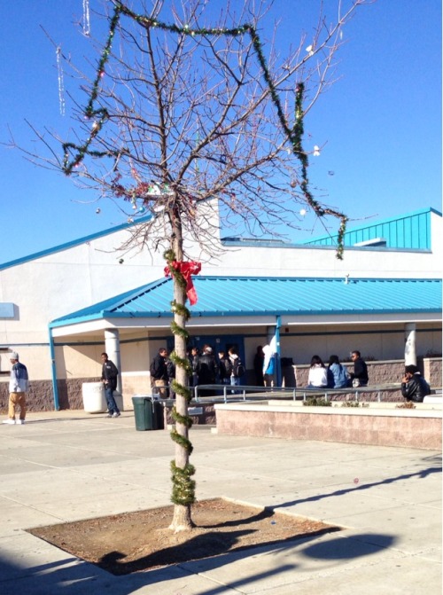 an-n-i-e:  forever-haileyy:  ow-my-feelings:  pkacu:  Merry christmas  Hahahah fucking Deer Valley  gotta love DVHS  #onlyatdv   Only cuz I know the school