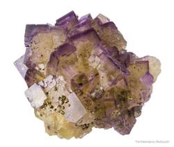 hematitehearts:  Fluorite and ChalcopyriteLocality:   Rosiclare Level, North-End Denton Mine, Harris Creek Dist., Illinois, USA