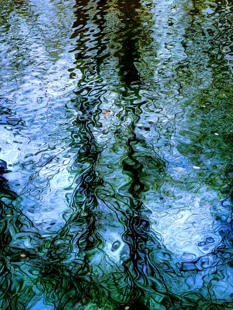 brucelewisphotography:  Providence Park 