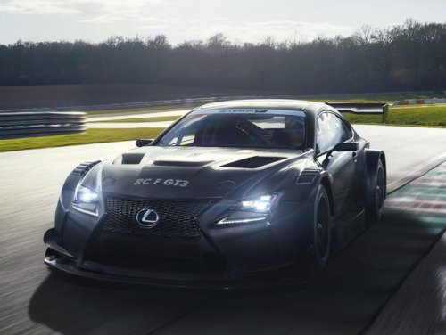 fullthrottleauto:    Lexus RC F GT3 ‘2017 adult photos