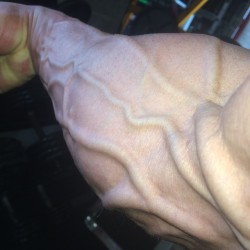 flex4mebigguy:  brentrollinsdailypicture:  Herbie Chiang  I was doing pretty good until he wrapped his hand around his upper arm and started pumping his veins…holy crap!!!  I got as big and hard as all those massive VEINS…