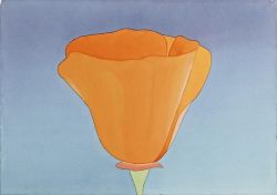 igormaglica:  Mark Adams (1925-2006), California Poppy, 1981.  	watercolor on paper, 14 x 20 inches 