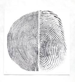 yupthatexists: A fingerprint and tree stump