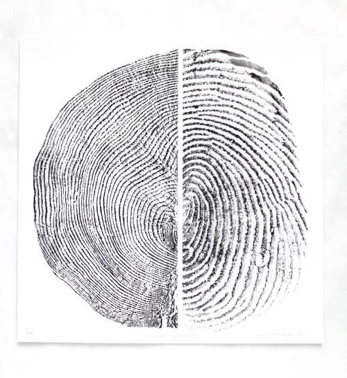 yupthatexists:A fingerprint and tree stump side by side (IG: @thefarwoods)