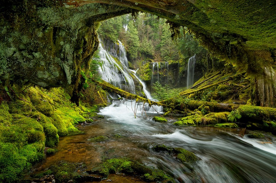 shyowl:  go4photos:  Hobbit Falls by dgadventurespnw  hippie vibes 
