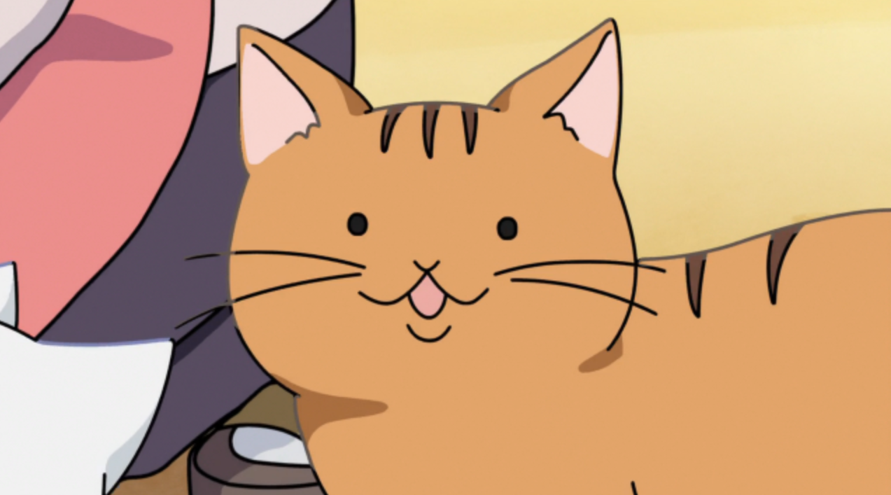 10 Anime and Manga Felines – Needcoffee.com