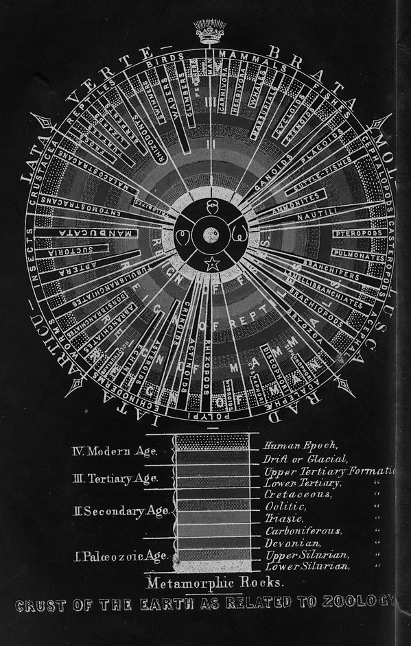 chaosophia218:    Louis Agassiz - Earth’s Crust with the Evolutionary History of