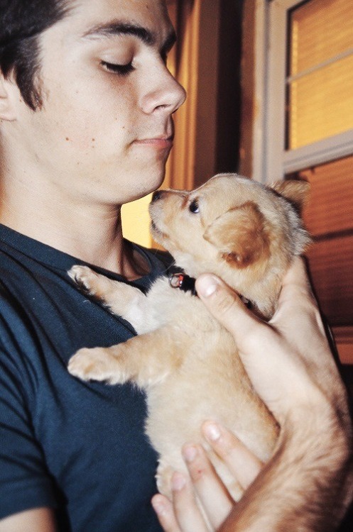 shipwreckface:  Dylan + puppies = FREAKING ADORABLE! 