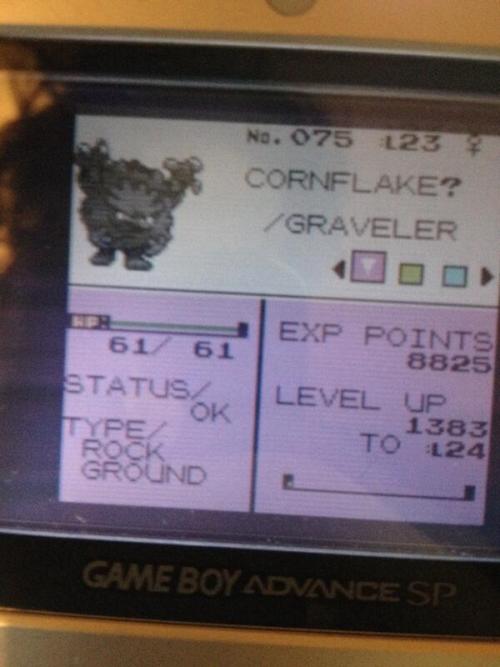 markjl:  i bought pokemon crystal online from someone and their nicknames are possibly the greatest nicknames i have ever encountered 