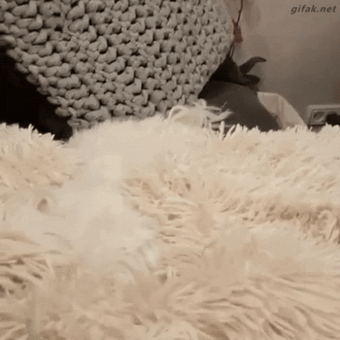 Gif Reyna Explore Tumblr Posts And Blogs Tumgir