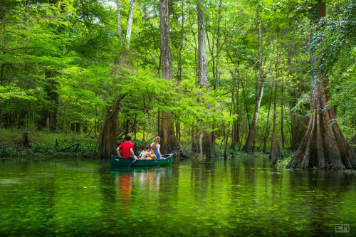 euph0r14:  nature | Down by the River | by edelmohr | http://ift.tt/1JeE88J 