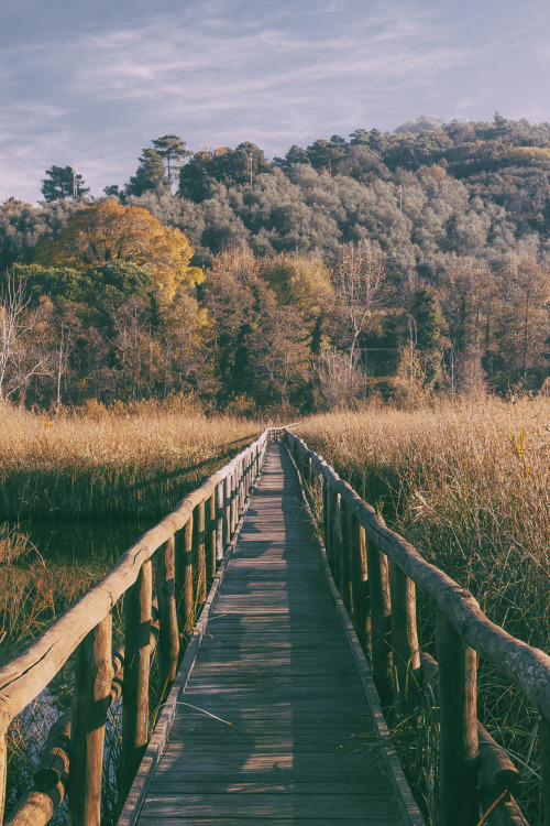 elenamorelli:{ my favorite boardwalks }