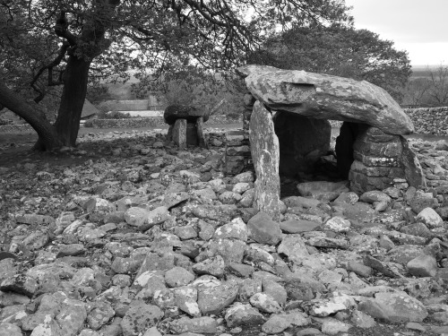 Dyffryn Burial Chamber Images, near Harlech, North Wales, 10th May 2015.