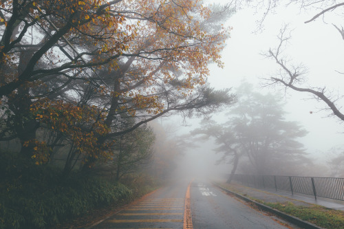 Foggy Mt.Rokko. Fall 2015霧の六甲山instagram | 500px | twitter