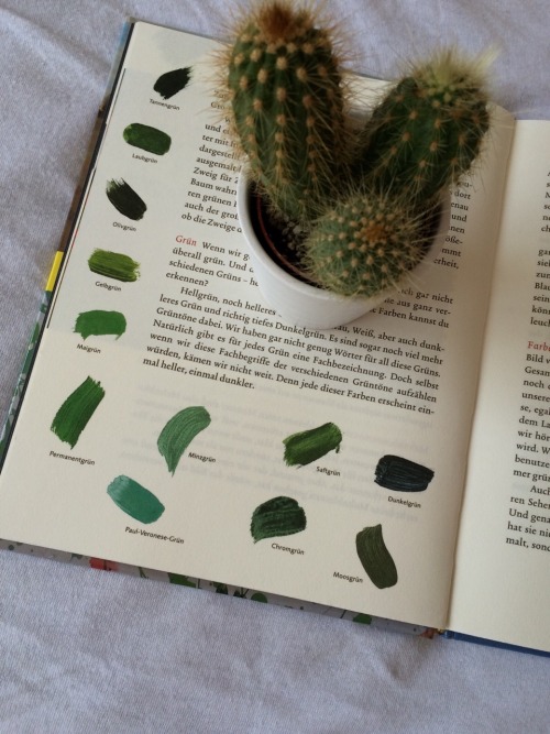 Porn only-a-tragedy:  green colors ft. my cactus🎨🌵 photos