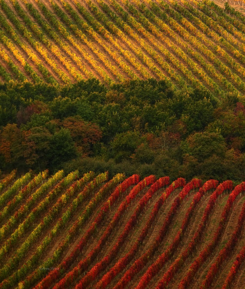 Valle del Chianti - Toscana da Robyn HoozTramite Flickr:A wonderful scene, straight out of camera: d