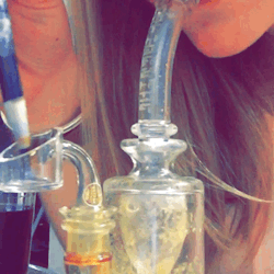 Anat1Daephobia:  Terps Out The Mothership 🚀