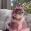 tinyknightathleterebel-blog