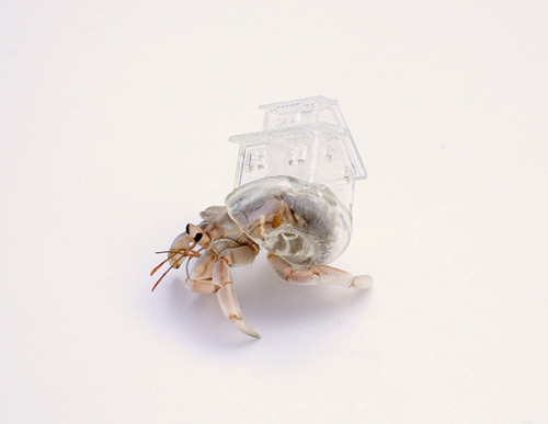 cjwho:Aki Inomata’s | Crystalline 3D Printed Hermit Crab Shells are Inspired by the World’s Architec