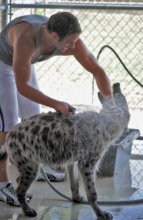 wildhyaena:  I can’t get over how adorable Jake is. LOOK AT HOW FRIGGIN ADORABLY CUTE HE IS WHEN HE GETS A BATH. I couldn’t find a share button on Facebook for all of these, so all photos are copyright Bryan Hawn and whoever took them. 