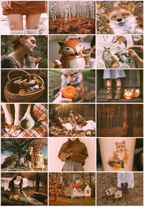 aestheticschaos: Autumn/Fox aesthetic for @thecacklingfox