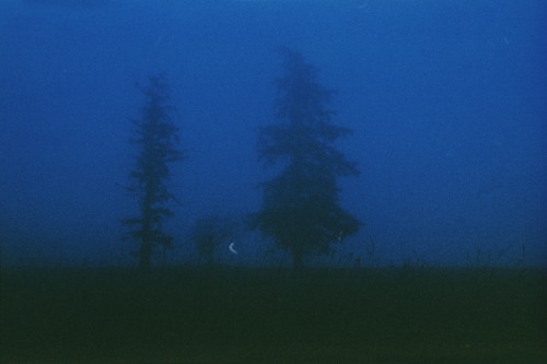 samanthamuljat:Blue Fog/Tristesse County.